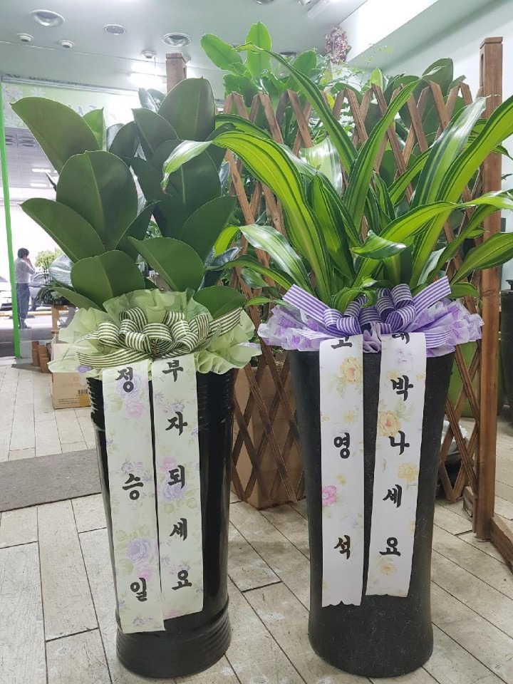 ȿ뵿 ΰع...