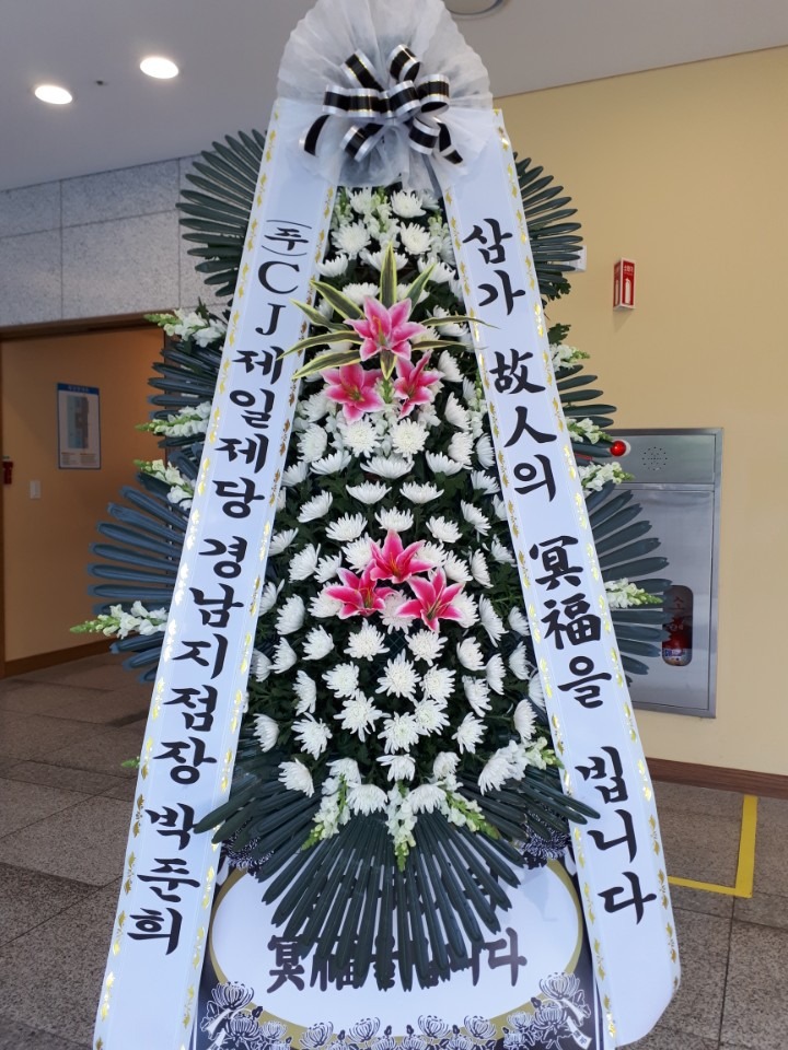 뺴ʽ....