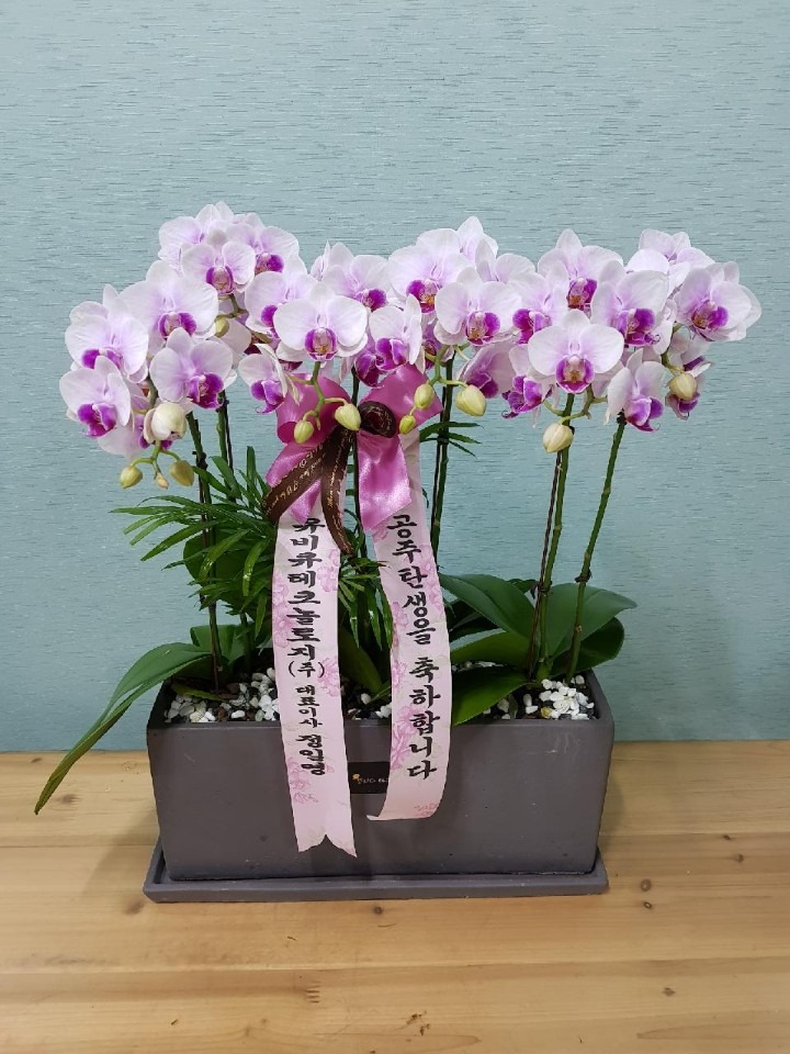 浿 ڸ....