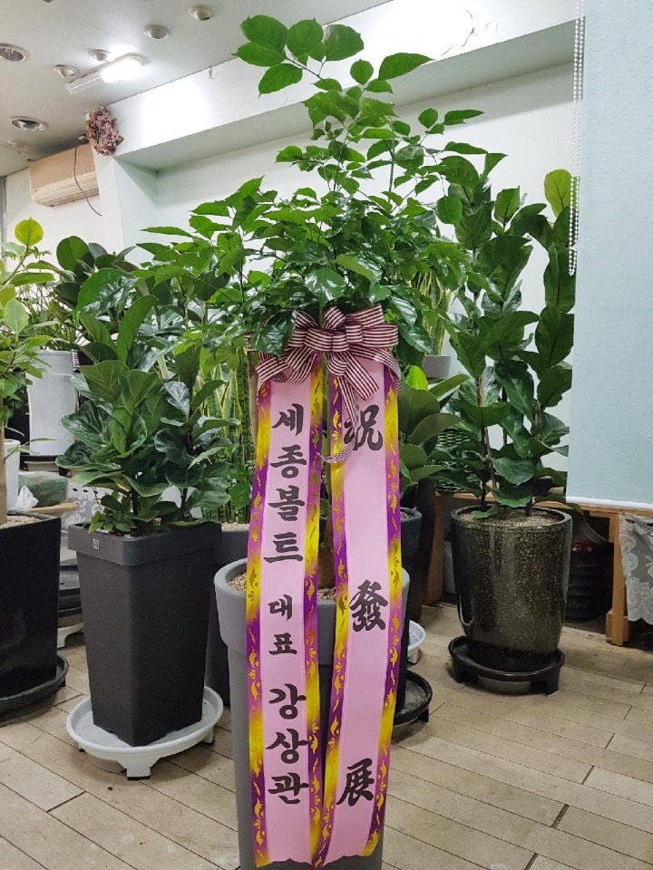 ʸ ũ븮...
