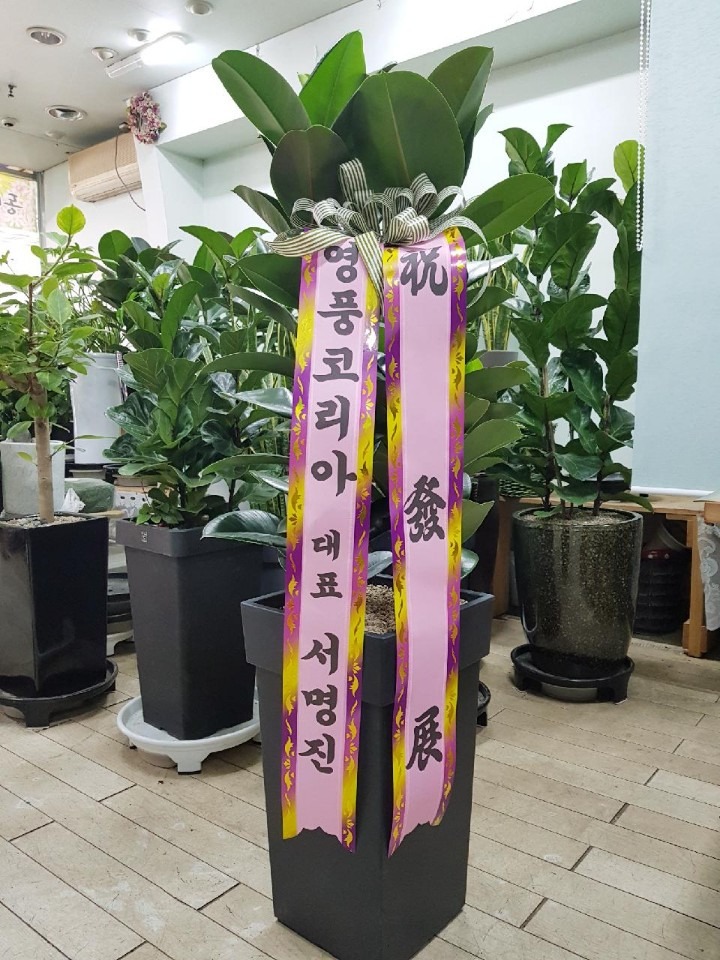 ʸ ũ븮....