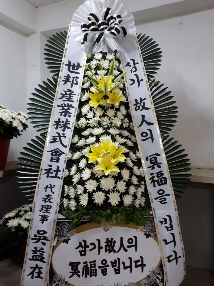 뺴ʽ....