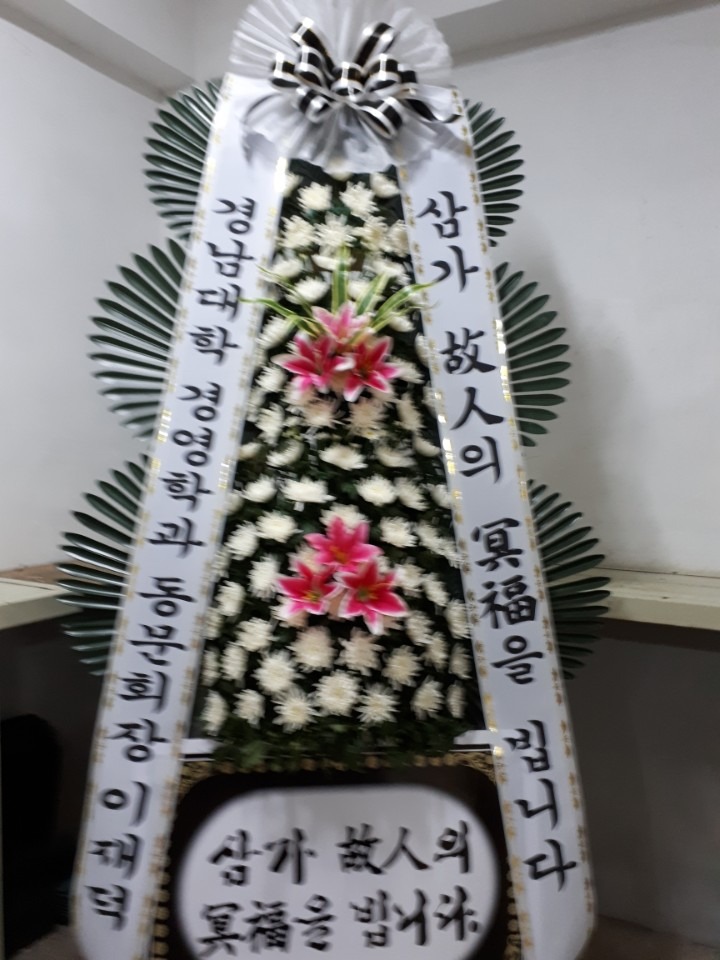 ū纴ʽ...