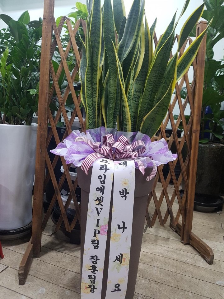 ߾ӵ丣ӿ..