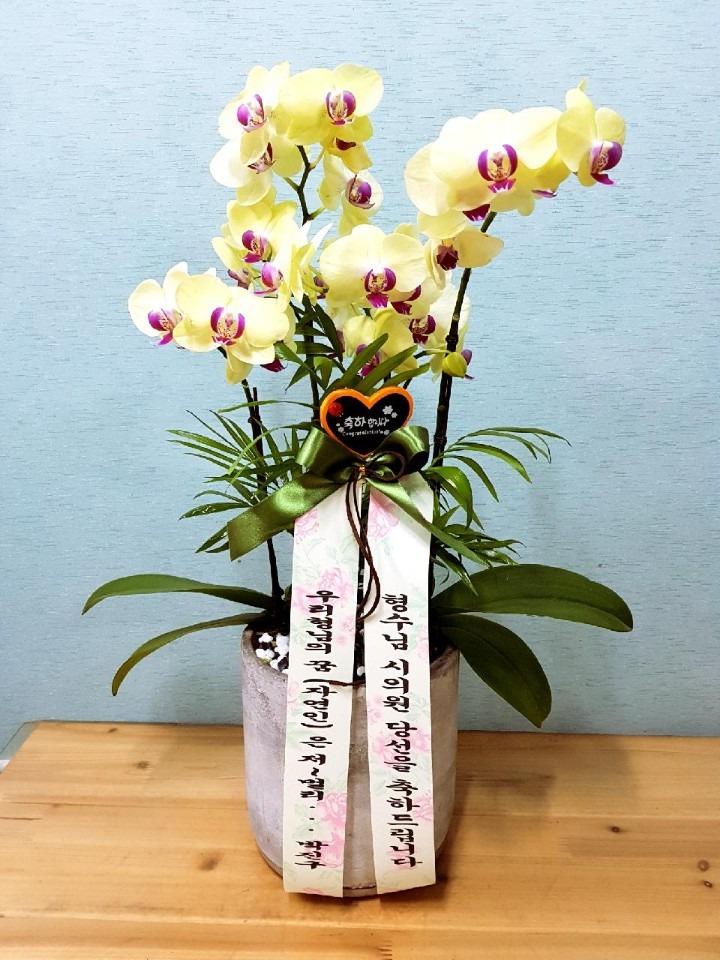 ȿ뵿Ż繫Ƿ....