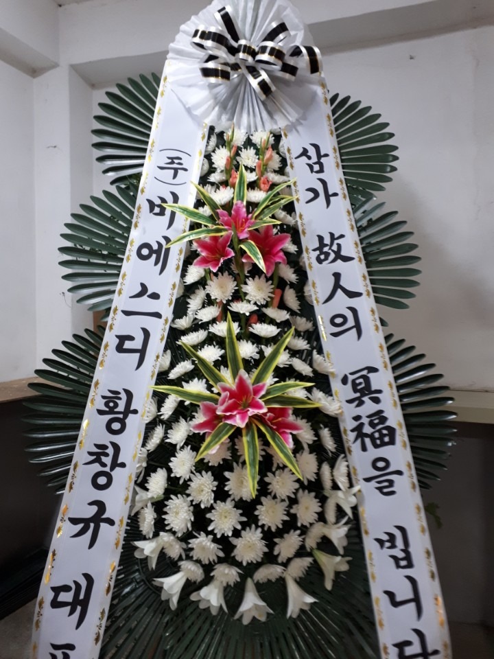 뺴ʽ...