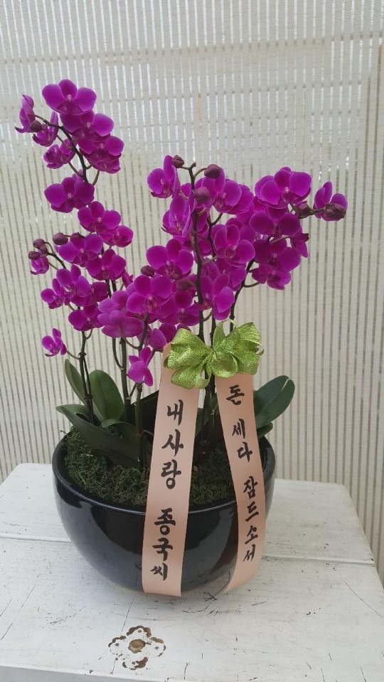 󳲵 뷡....