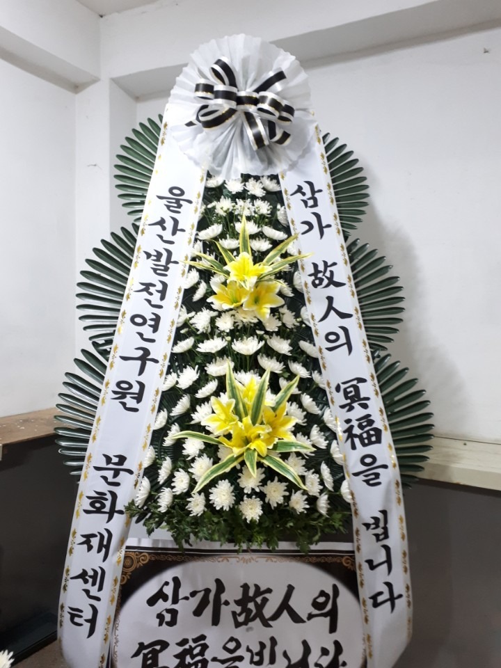 뺴ʽ....
