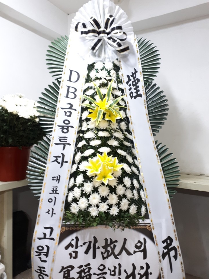 뺴ʽ....