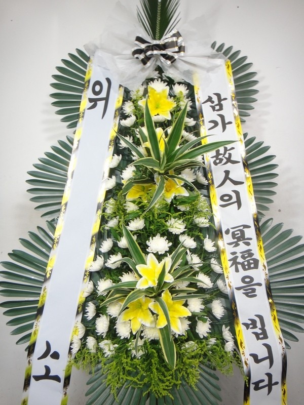泲бʽ....
