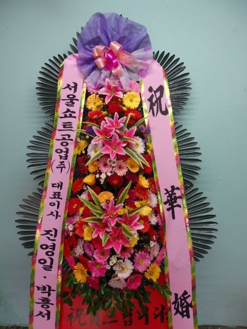 뱸ƮȦ....