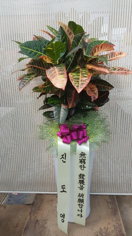 ڻ굿IBǼ....
