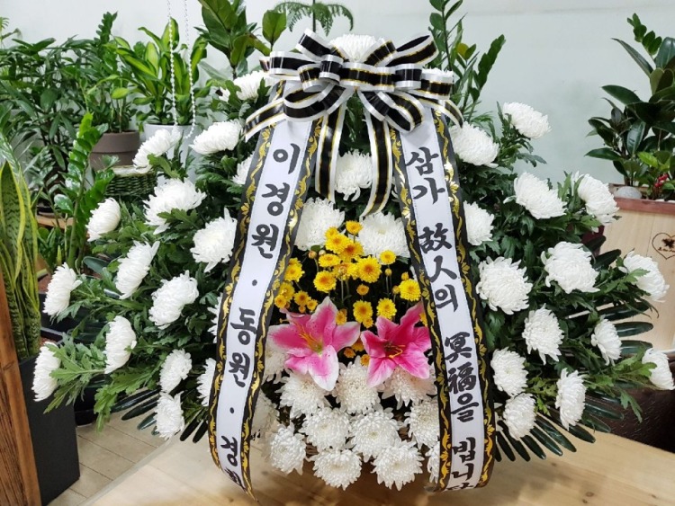 뺴ʽ....