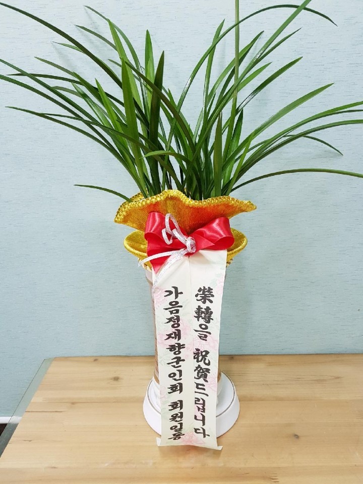 繫.....