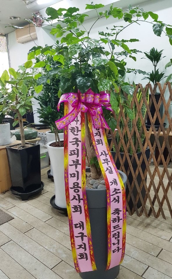 ȿ뵿 ѱǺι̿ 泲ȸ..