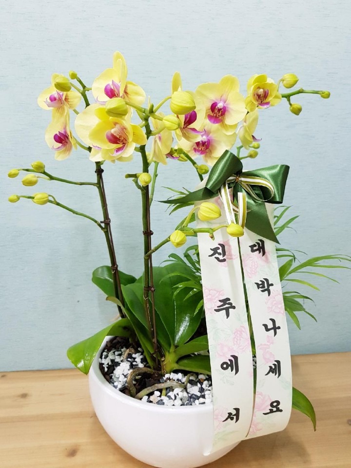  뵿׸ھƷ...
