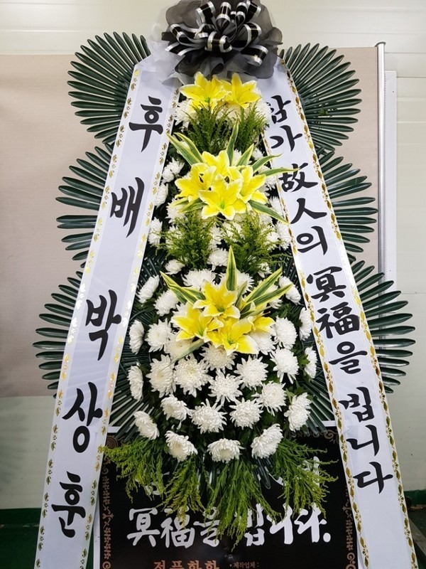뱸纴ʽ....