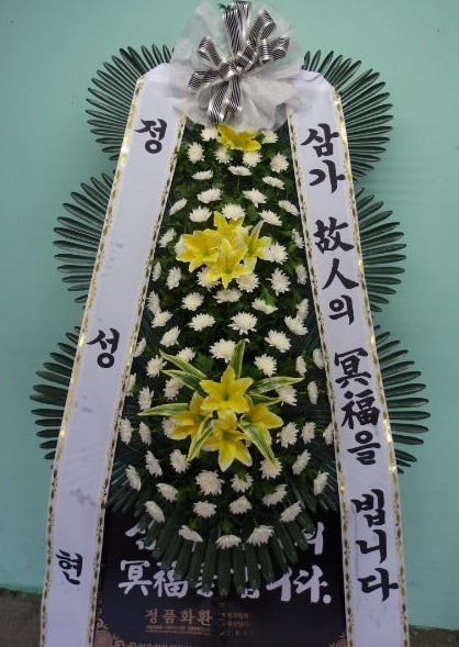 뱸Ƽ巹...