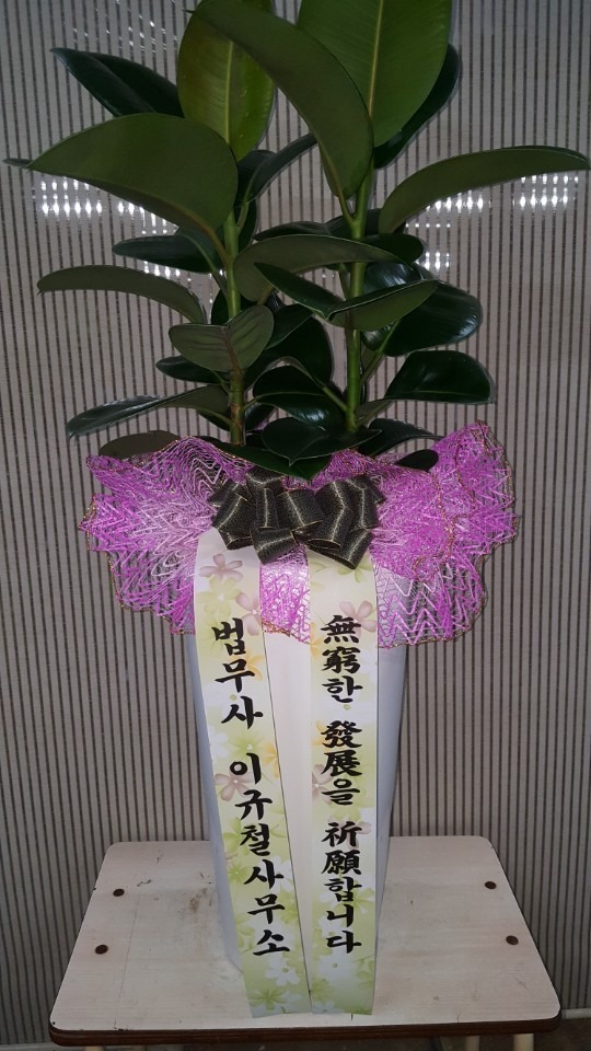 ϸ 泲....