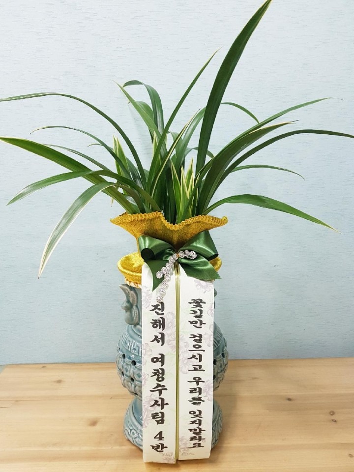 泲û...