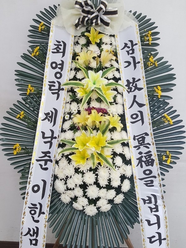 꼼κʽ....