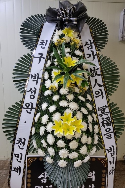 뱸ī縯ʽ....