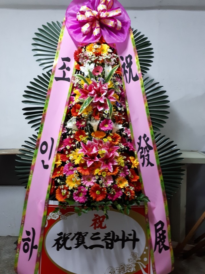 󳲵 Ȳ쵷...