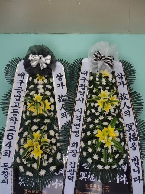 뱸ϴ뿵ȽǷ....