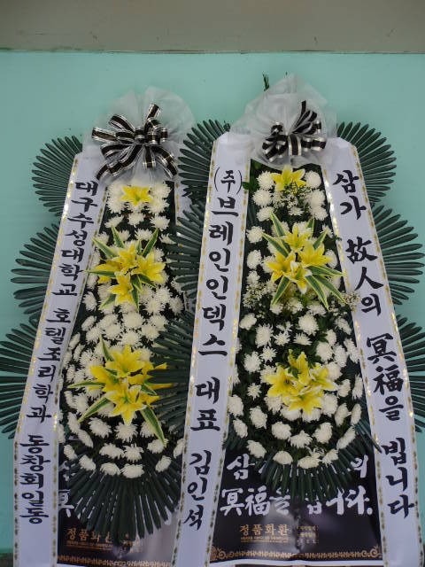 뱸ϴ뿵ȽǷ...