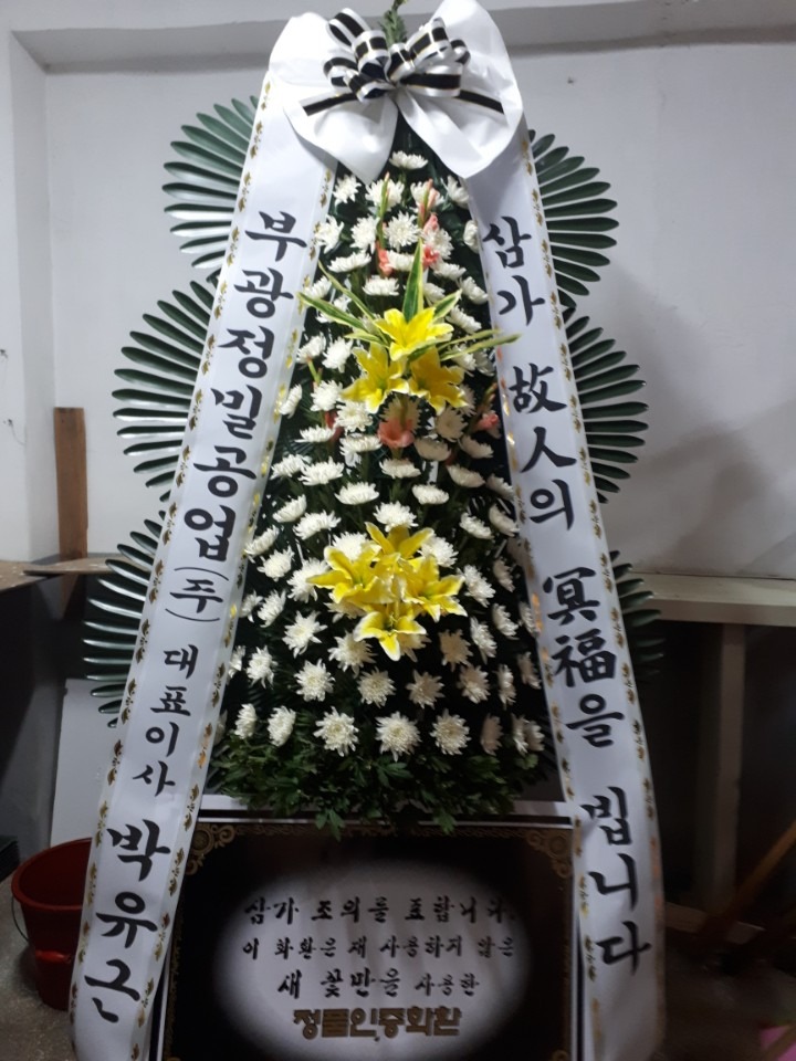 뺴ʽ...