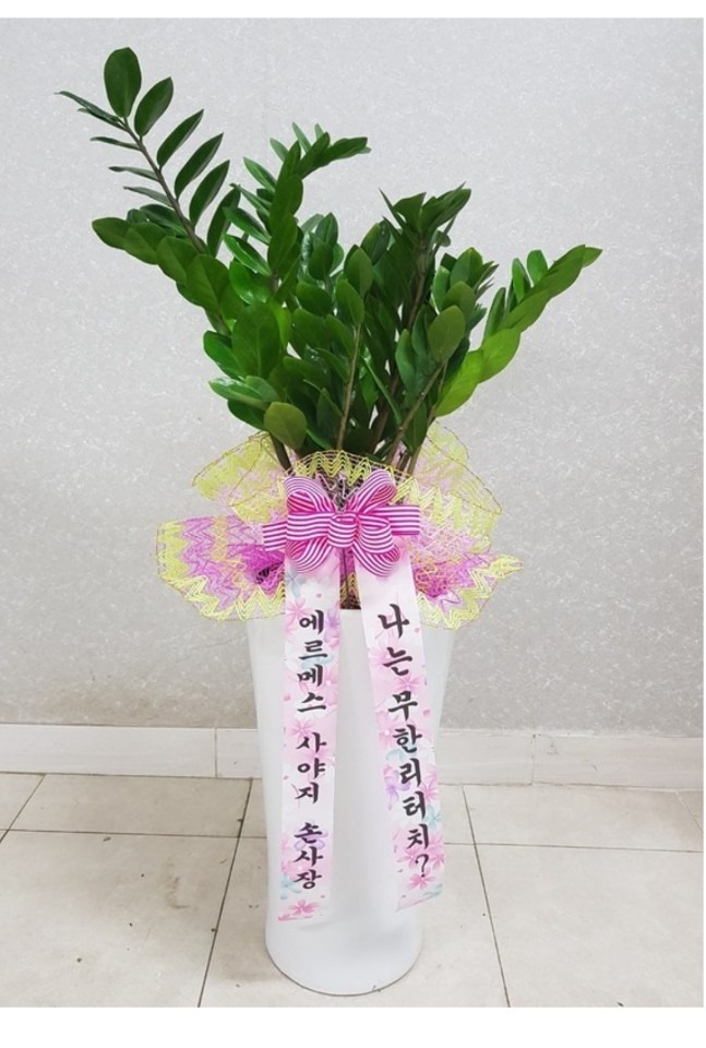 ϻ걸޻찡...