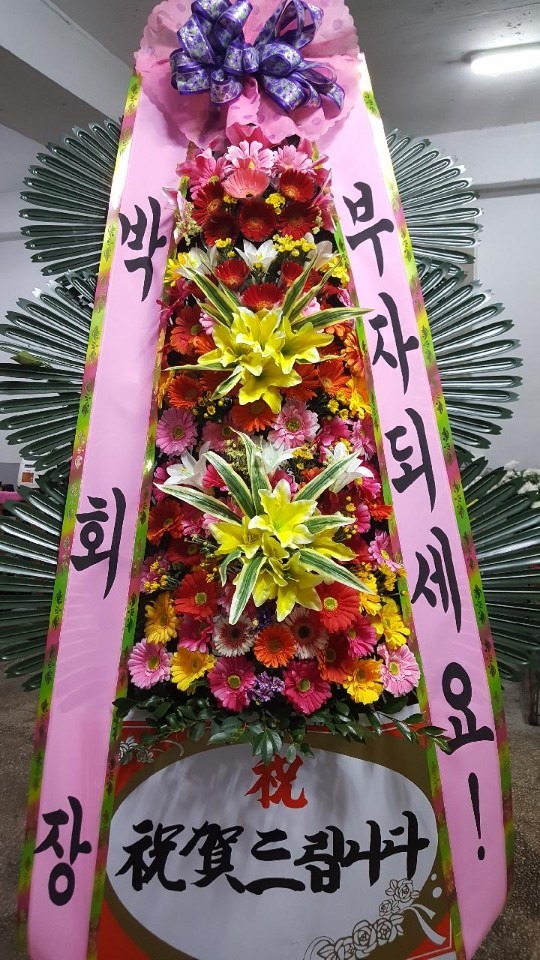 󳲵 뷡...