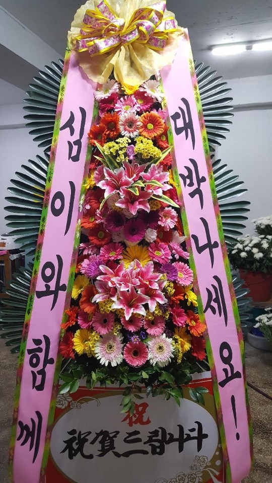 󳲵뷡...