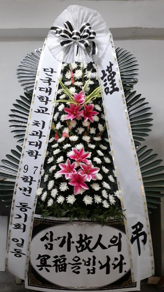 뺴ʽ...