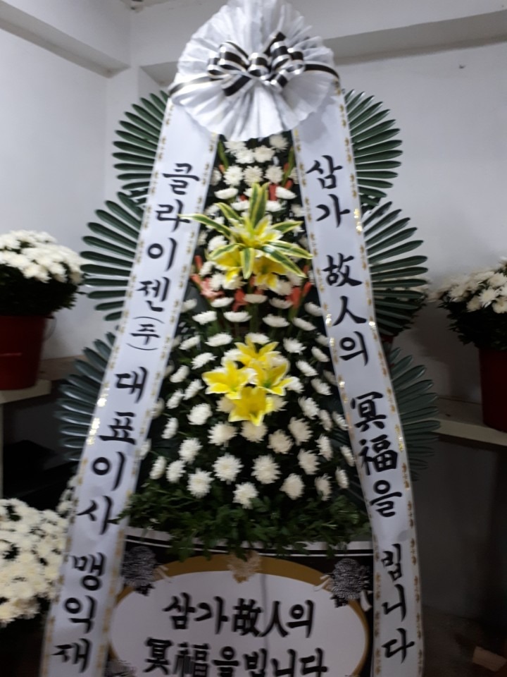 뺴ʽ....
