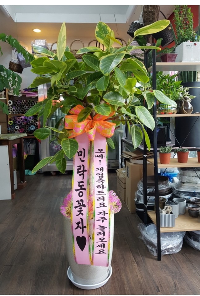 ⵵ 뱹...