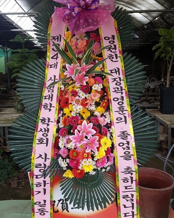  뱸ķ۽...