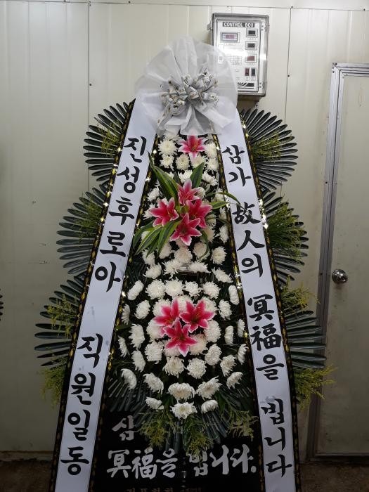 뱸 굿...