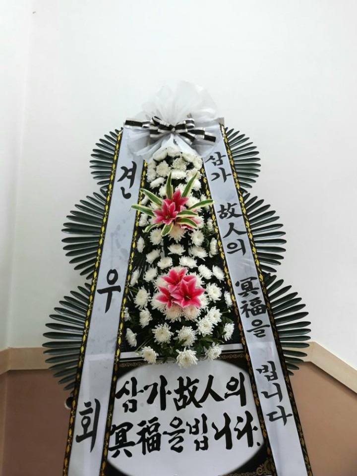 뿵ʽ...