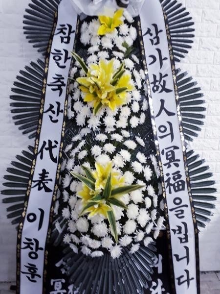 뱸꺴ʽ...