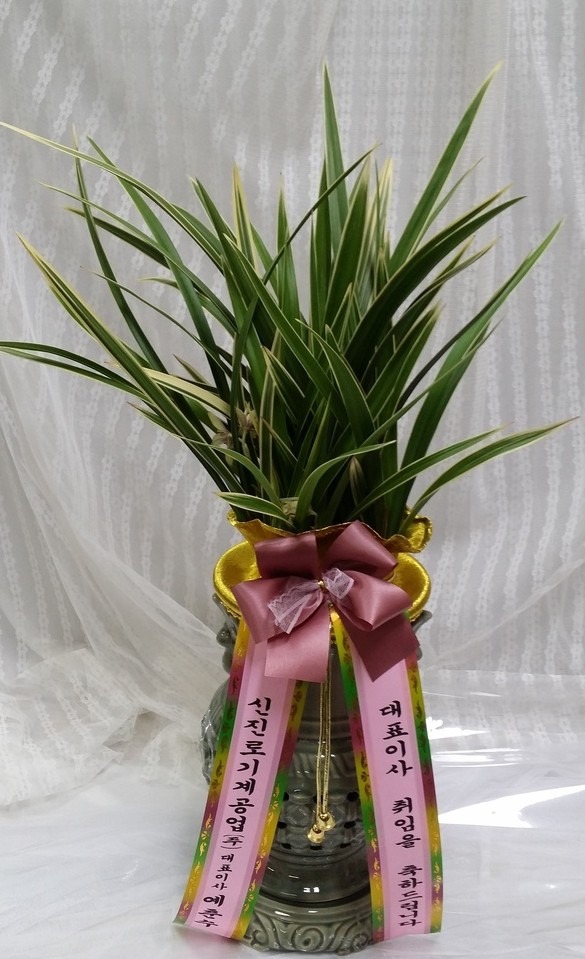 뱸޼ ȭз...