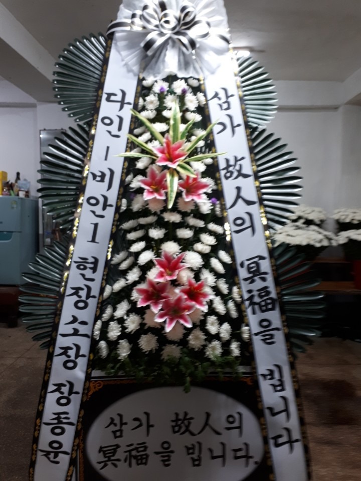 뺴ʽ....