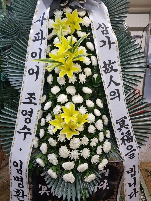 뱸Ƽʽ...