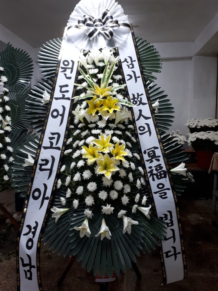 뺴ʽ....