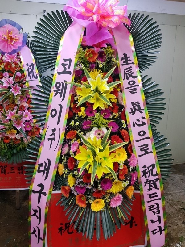 뱸޼Ȩ÷