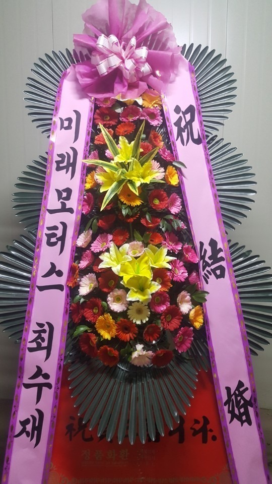 뱸Ķ̽Ȧ.....