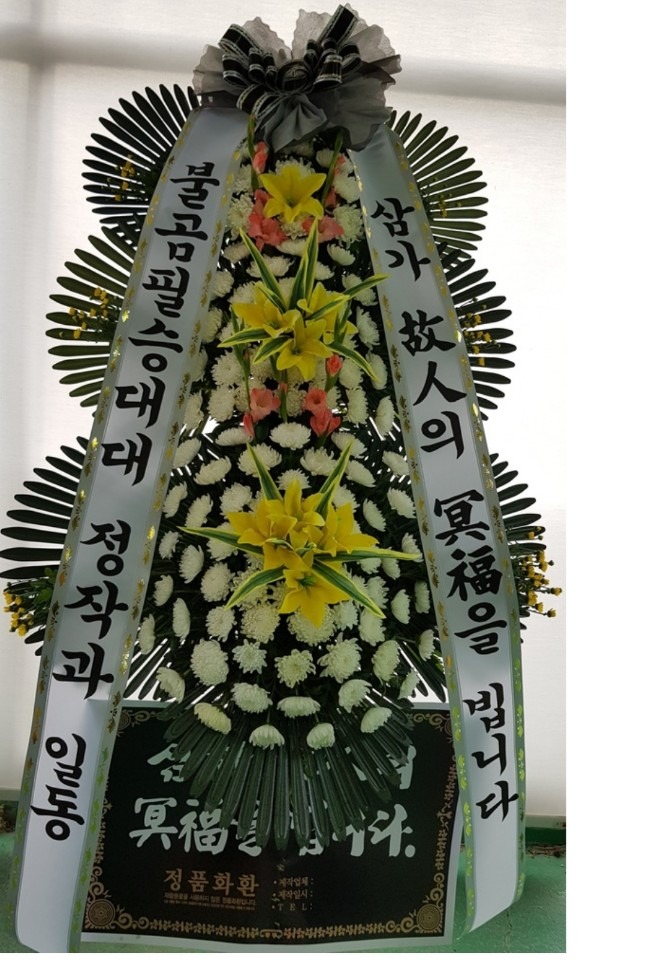 뱸 Ʈκʽ...