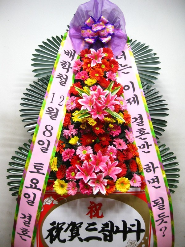 ֺüϿ콺...