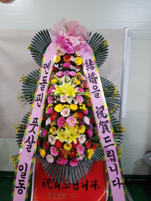뱸 ͺҰ...