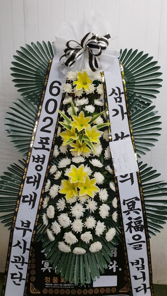 뱸йиʽ...